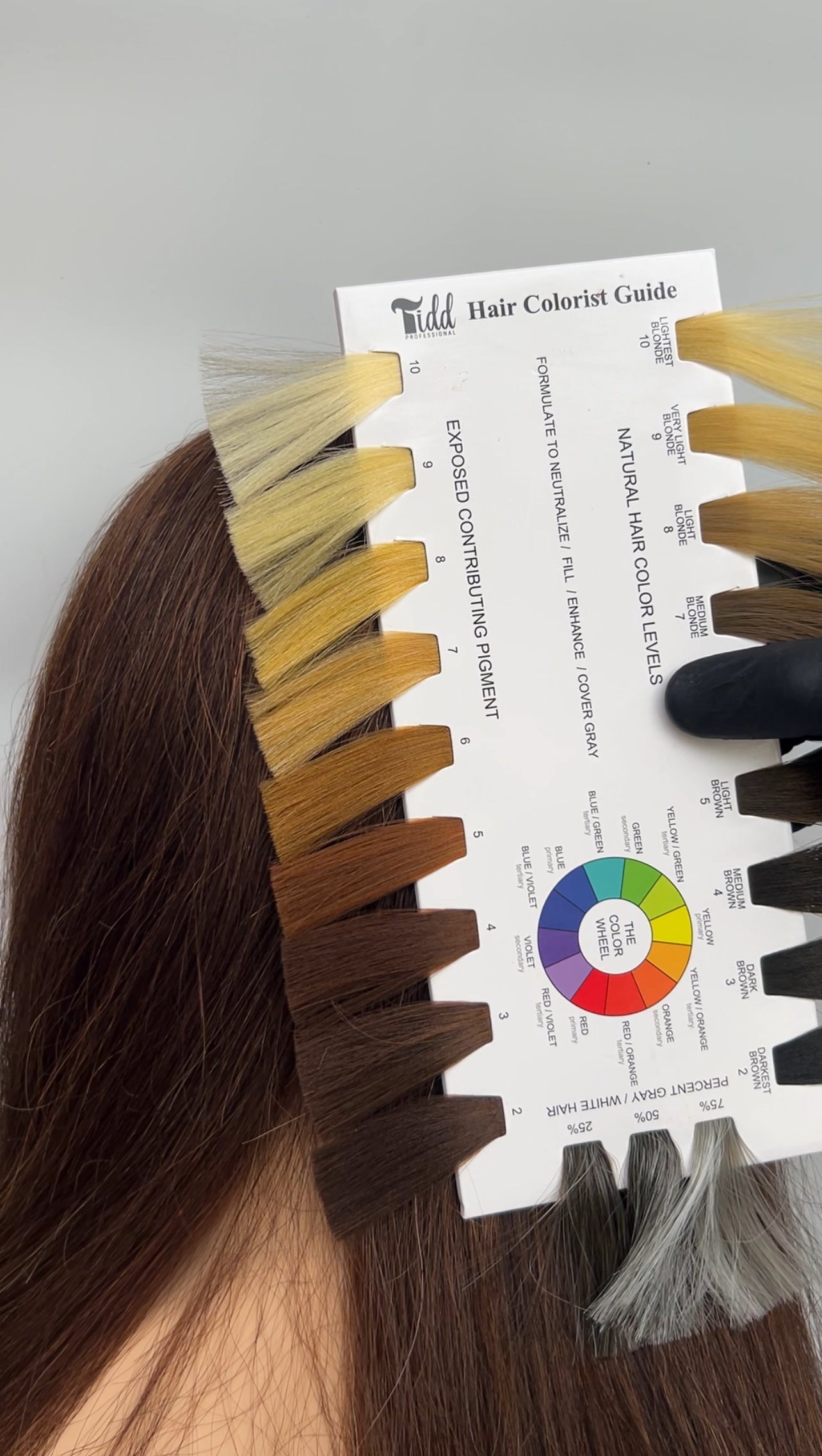 Hair Level Chart, Hair Level Finder tiddprofessional